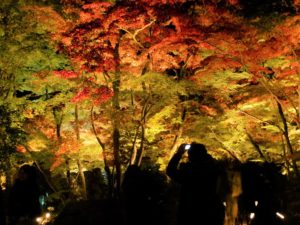 宝厳院の紅葉（京都）