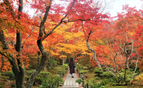 宝筐院（京都・嵐山）の紅葉