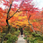 嵐山周辺の紅葉