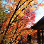 今熊野観音寺（京都）の紅葉
