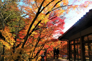 今熊野観音寺（京都）の紅葉