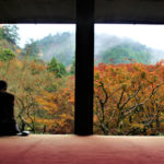 高山寺（京都）の紅葉