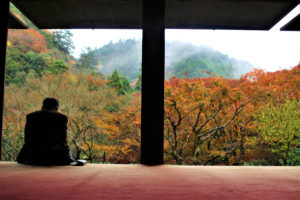 高山寺（京都）の紅葉