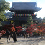金戒光明寺（京都）の紅葉