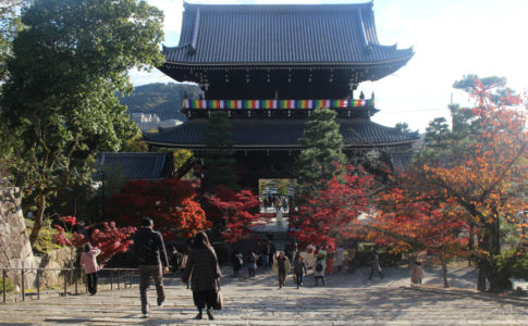 金戒光明寺（京都）の紅葉