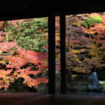 洛北蓮華寺（京都）の紅葉