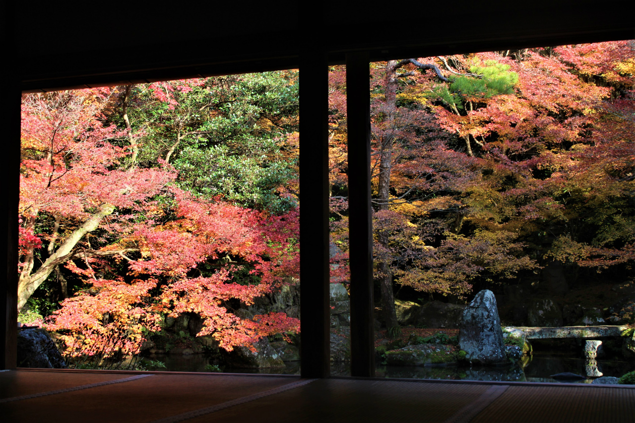 現地レポ 洛北蓮華寺の紅葉 紅葉見ごろ 混雑情報 京都の紅葉ガイド