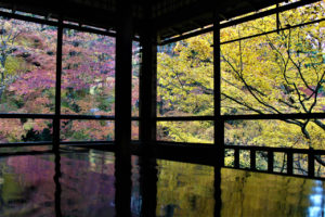 瑠璃光院（京都）の紅葉
