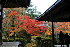 西明寺（京都）の紅葉