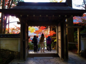 三千院（京都）の紅葉