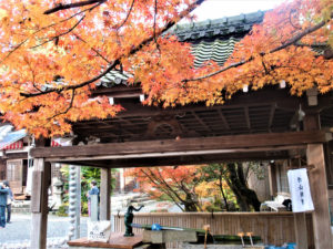 赤山禅院（京都）の紅葉