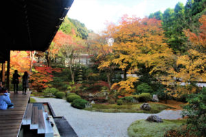 泉涌寺（京都）の紅葉