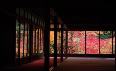 天授庵（京都）の紅葉