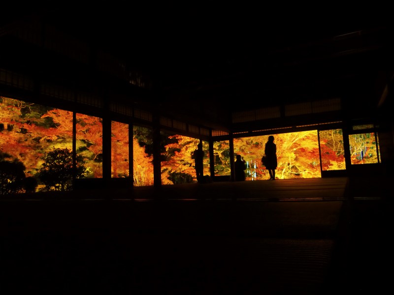 京都の紅葉ライトアップ
