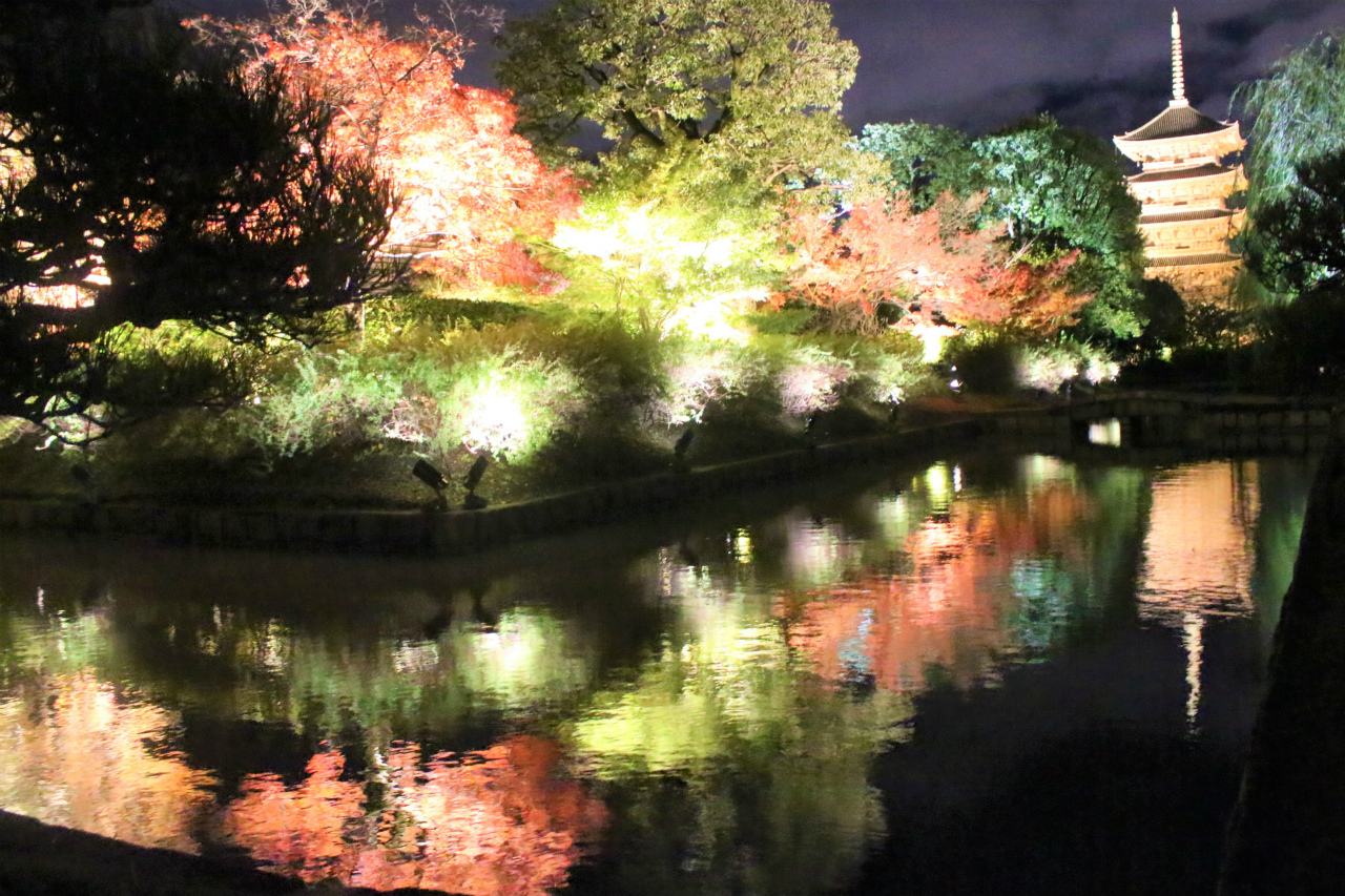 東寺（京都）の紅葉