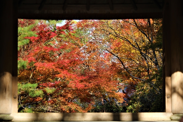 現地レポ 法然院の紅葉 早朝から紅葉を楽しめる名所 見頃 紅葉の見どころ 京都の紅葉ガイド