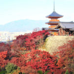清水寺（京都）の紅葉